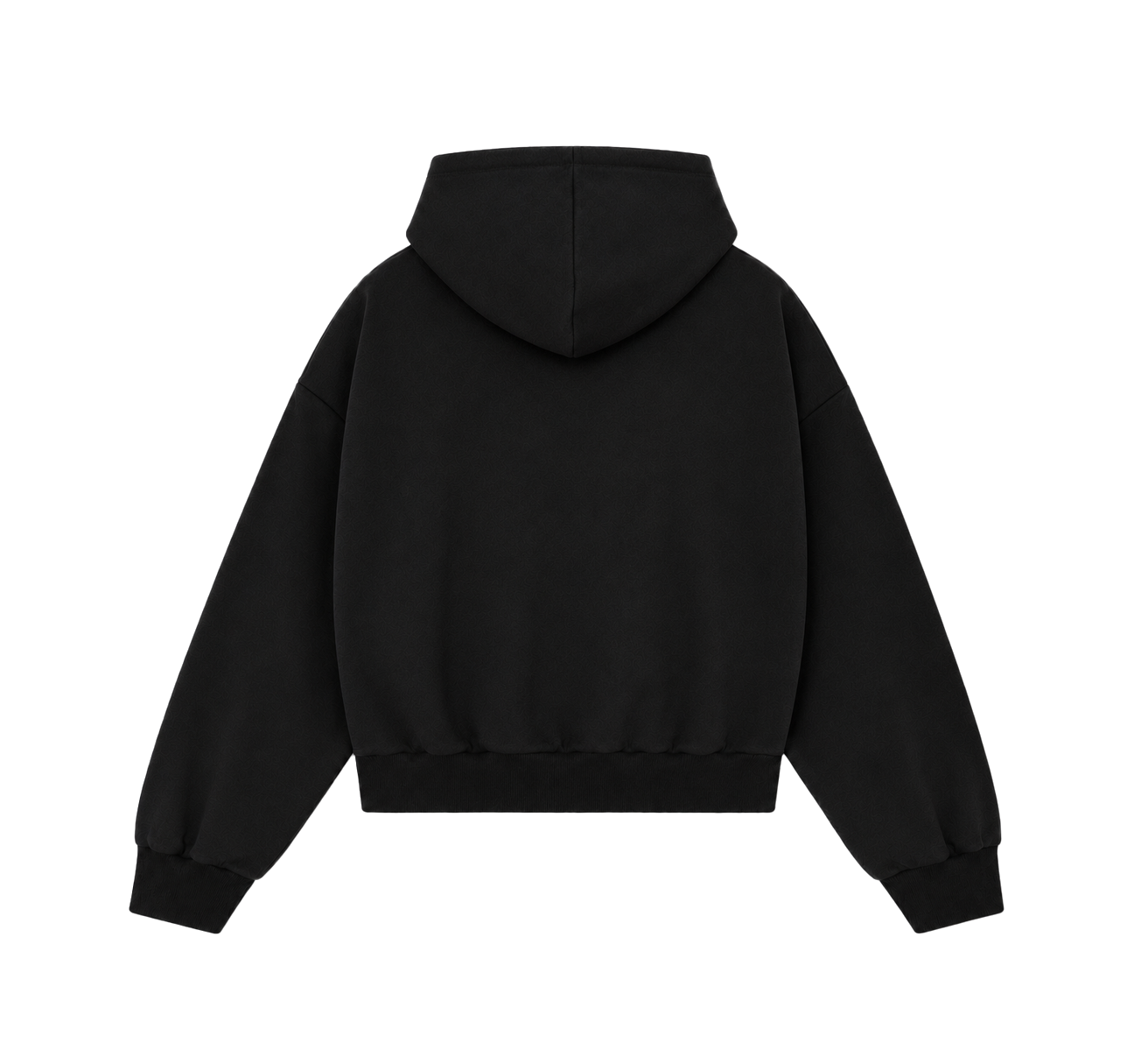 Zip Hoodie — Black, back